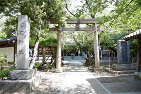 写真: 新小岩香取神社の鳥居