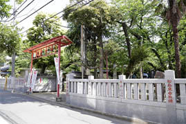 写真: 新小岩香取神社の鳥居