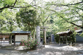 写真: 新小岩香取神社の境内